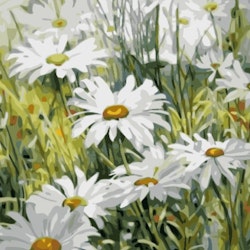 Paint By Numbers Daisy Flowers 50x70- Leveranstid 1-3 Dagar