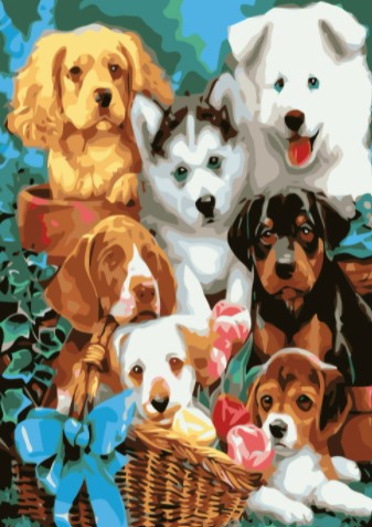 Paint By Numbers Dogs 50x70 -Leveranstid 1-3 Dagar