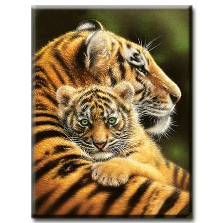 Diamanttavla (R) Tiger Hug 40x50