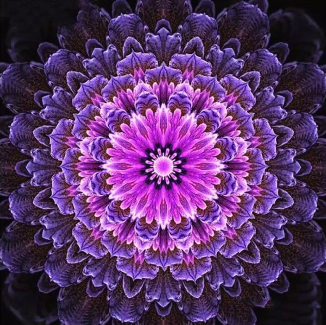 Diamanttavla Mandala Purple Flower 50x50 - Leveranstid 1-3 Dagar