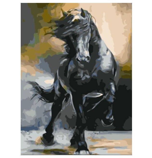 Paint By Numbers Black Horse 40x50