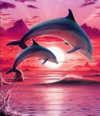 Diamanttavla Dolphins Pink Sky 40x50 - Leveranstid 1-3 Dagar