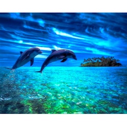 Diamanttavla Dolphins Exotic Island 40x50 - Leveranstid 1-3 Dagar