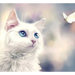 Diamanttavla White Cat And Butterfly 40x50 - Leveranstid 1-3 Dagar