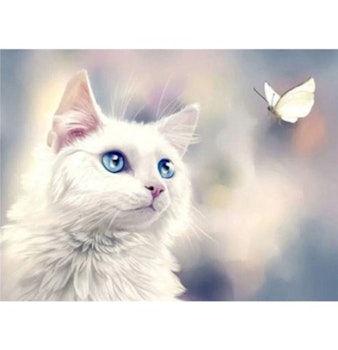 Diamanttavla White Cat And Butterfly 40x50