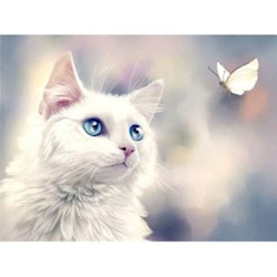 Diamanttavla White Cat And Butterfly 40x50