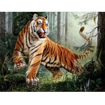 Diamanttavla Tiger Dark Forest  50x70 - Leveranstid 1-3 Dagar