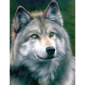 Diamanttavla Grey Wolf 40x50