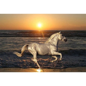 Diamanttavla (R) Sunset Horse 50x70 - Leveranstid 1-3 Dagar