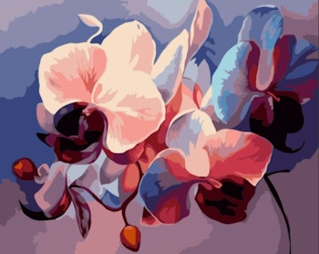 Paint By Numbers Vackra Orchideer 40x50