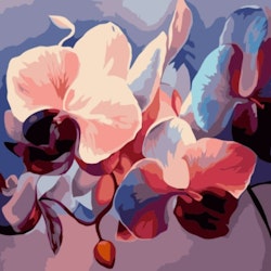 Paint By Numbers Vackra Orchideer 40x50