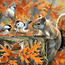 Paint By Numbers Squirrel And Birds 40x50 - leveranstid 1-3 Dagar