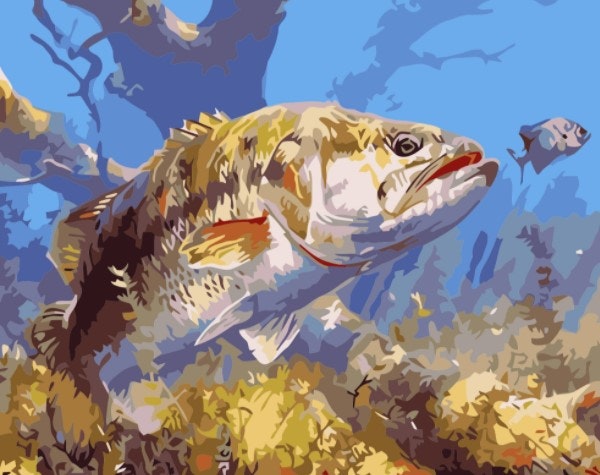 Paint By Numbers Sea Fish 40x50 - Leveranstid 1-3 Dagar