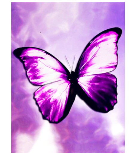 Diamanttavla Purple Butterfly 30x40 - Leveranstid 1-3 Dagar
