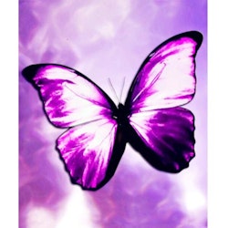 Diamanttavla Purple Butterfly 30x40 - Leveranstid 1-3 Dagar
