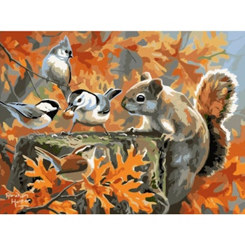 Paint By Numbers Squirrel And Birds 40x50 - leveranstid 1-3 Dagar