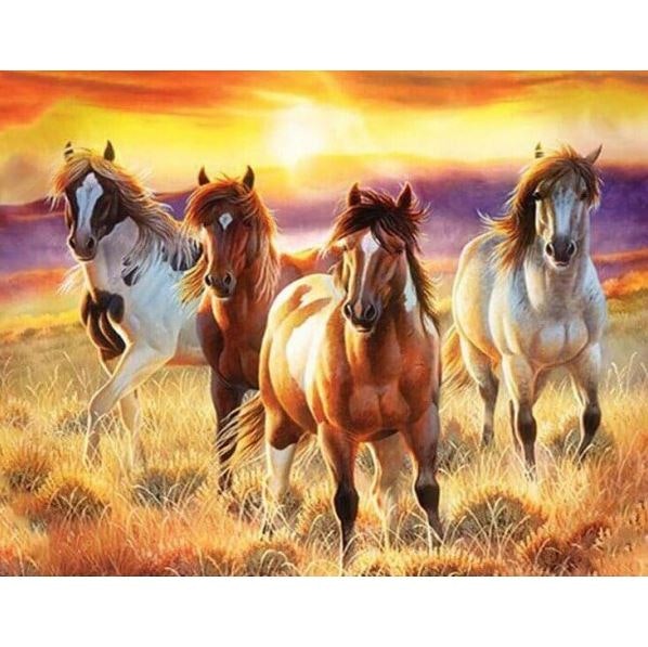 Diamanttavla Sunset Horses 40x50