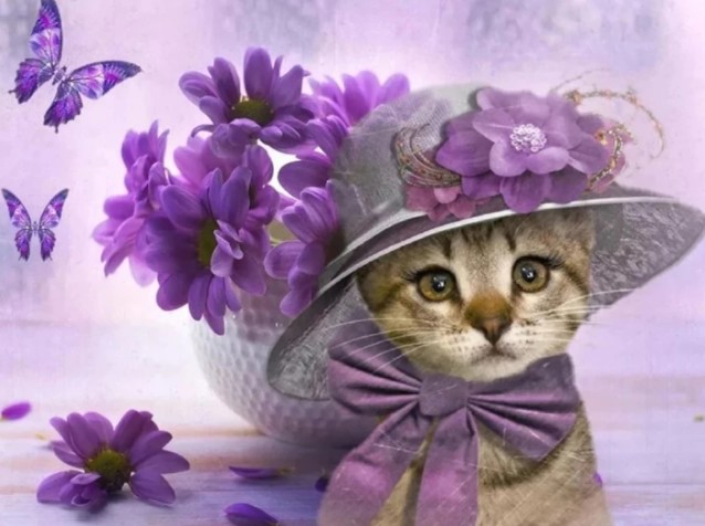 Diamanttavla Cute Cat With Hat 40x50 - Leveranstid 1-3 Dagar