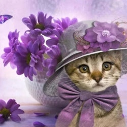 Diamanttavla Cute Cat With Hat 40x50 - Leveranstid 1-3 Dagar