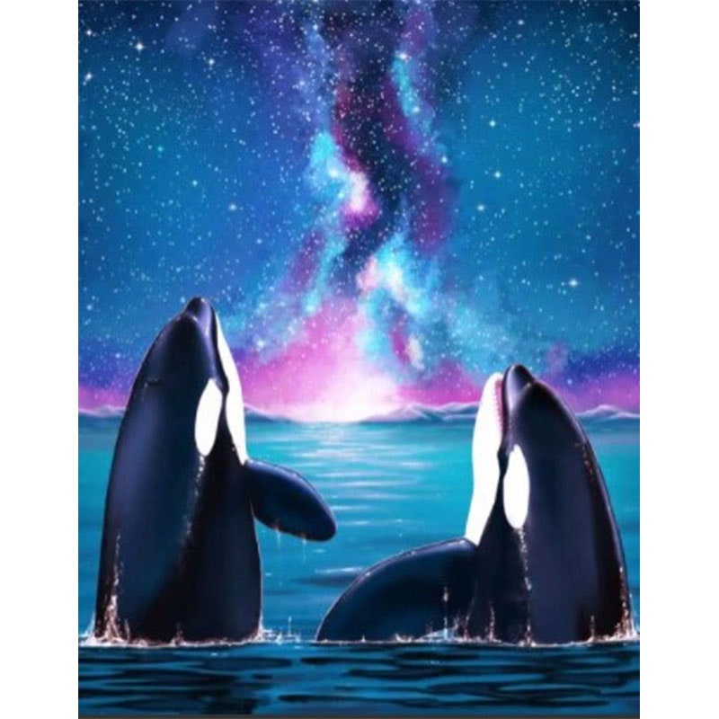 Diamanttavla Killer Whales 40x50 - Leveranstid 1-3 Dagar