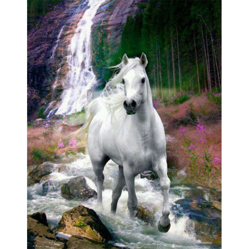 Diamanttavla (R) White Wild Horse 50x70 - Leveranstid 1-3 Dagar