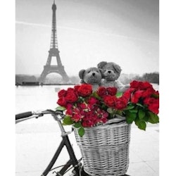 Diamanttavla Bicycle In Paris 40x50
