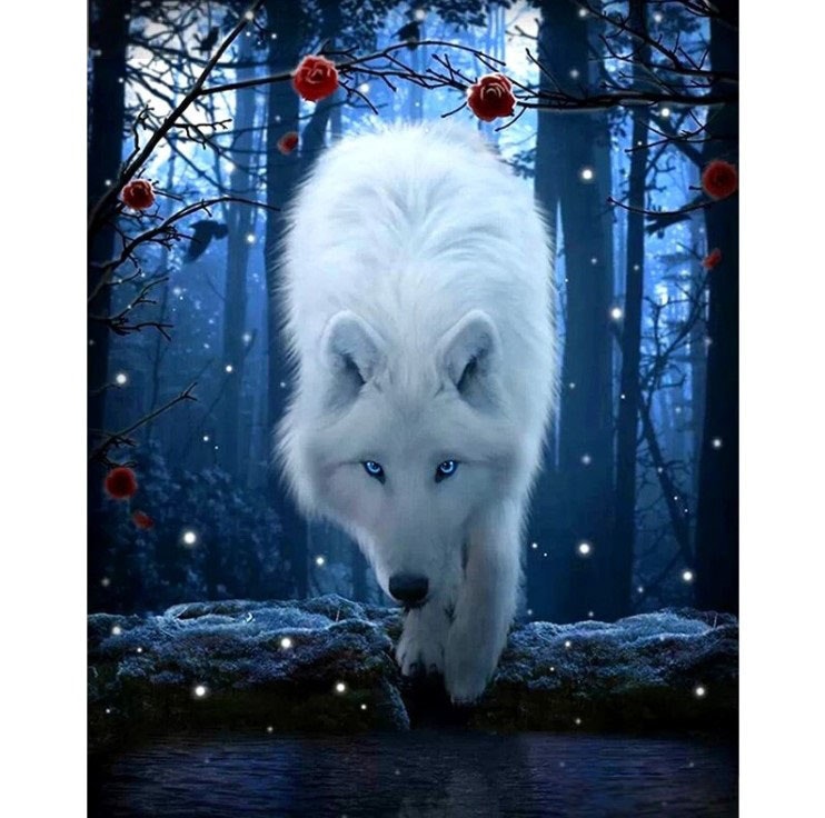 Diamanttavla White Wolf 50x70
