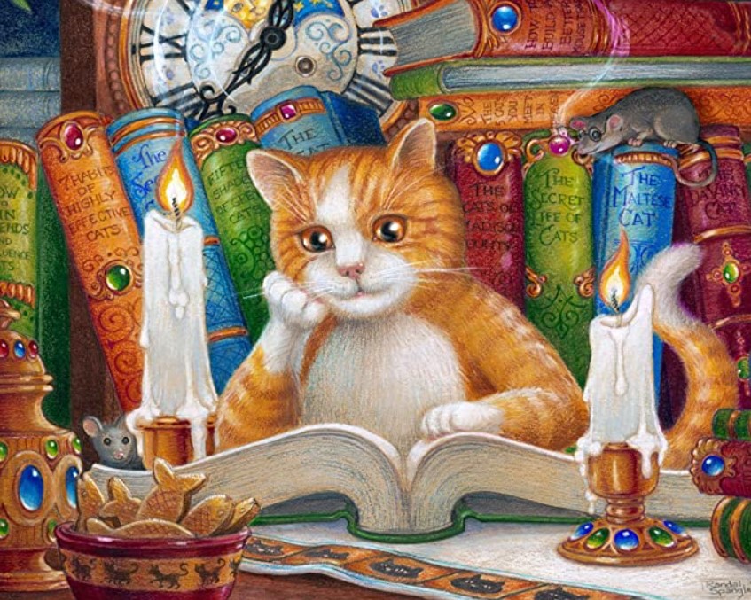 Diamanttavla (R) Cat with Books 40x50