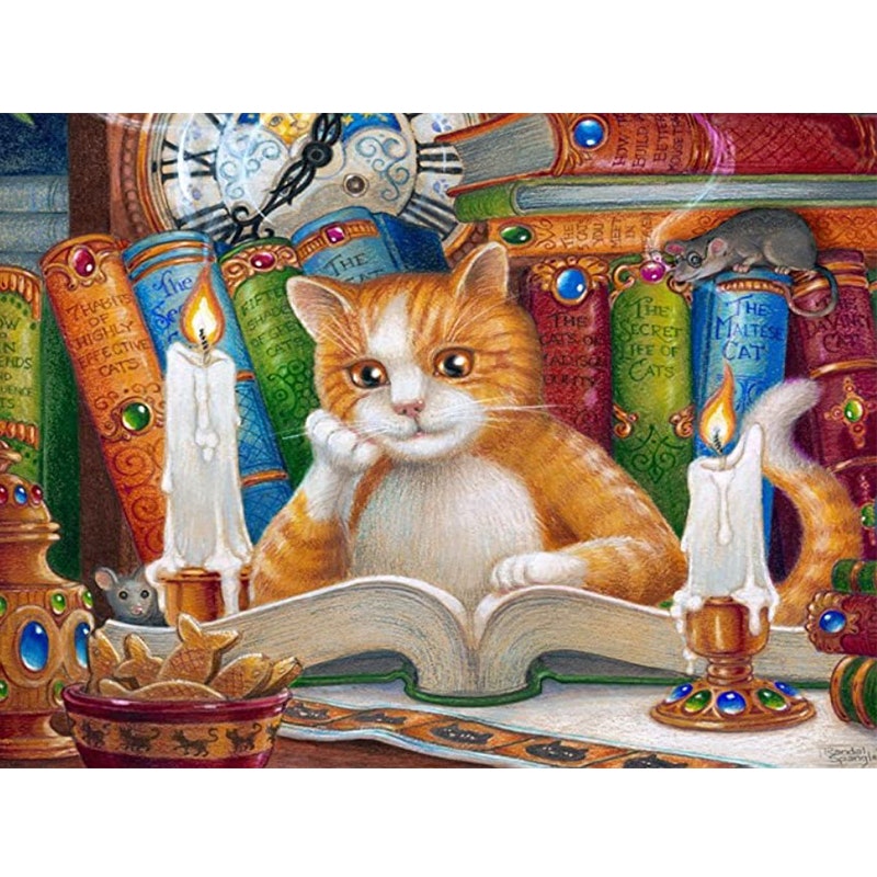 Diamanttavla (R) Cat with Books 40x50