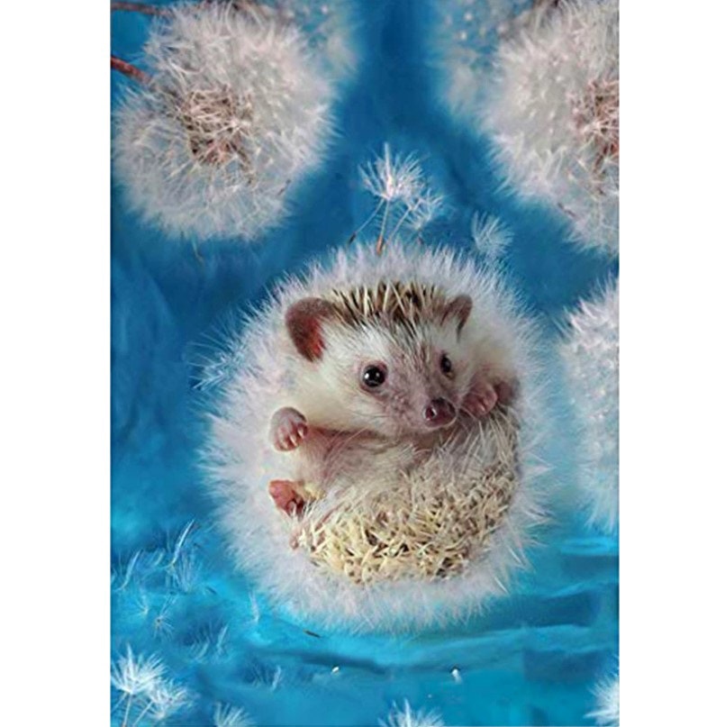 Diamanttavla Cute Hedgehog Dandelion 30x40
