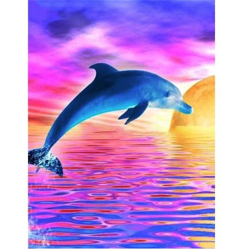 Diamanttavla Dolphin Color Sunset 30x40
