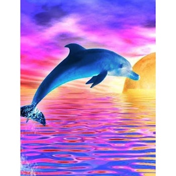 Diamanttavla Dolphin Color Sunset 30x40