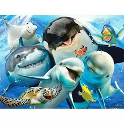 Diamanttavla Happy Ocean Animals 40x50