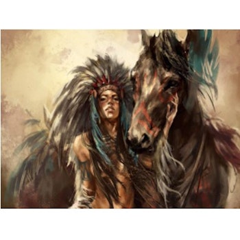 Diamanttavla Indian And Horse 40x50
