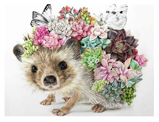 Diamanttavla Flower Hedgehog 30x40