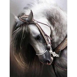 Dimamanttavla Handsome Horse 40x50