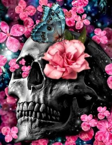 Diamanttavla Skull Roses And Butterflies 40x50