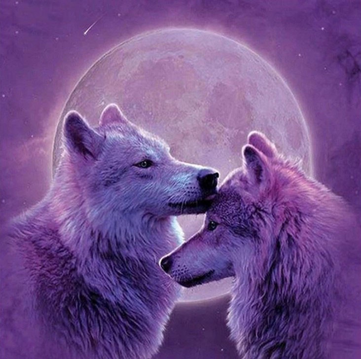 Diamanttavla Wolf Purple Moon 40x40