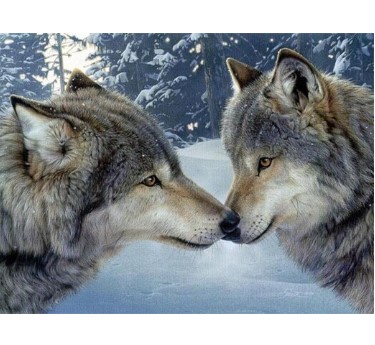 Diamanttavla (R) Wolves 40x50