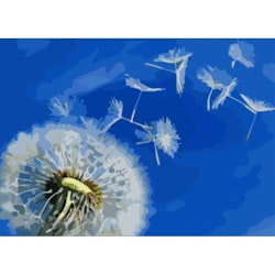 Paint By Numbers Dandelion 40x50
