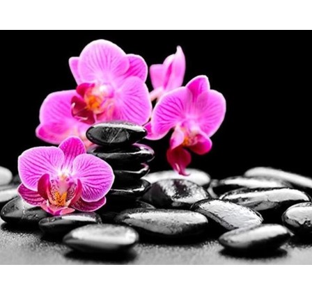 Diamanttavla Orchids Black Stones 30x40