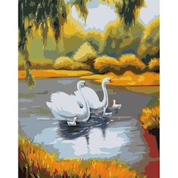 Paint By Number Swans 40x50