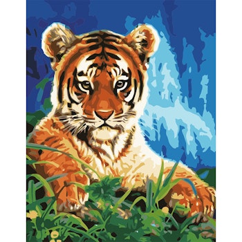 Paint By Number Tiger 40x50