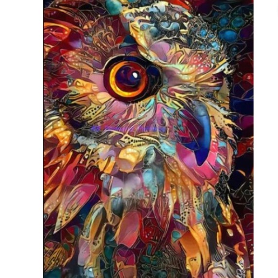 Diamanttavla Owl Colors 40x50