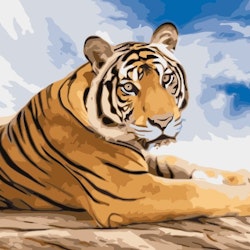 Paint By Numbers Tiger 40x50