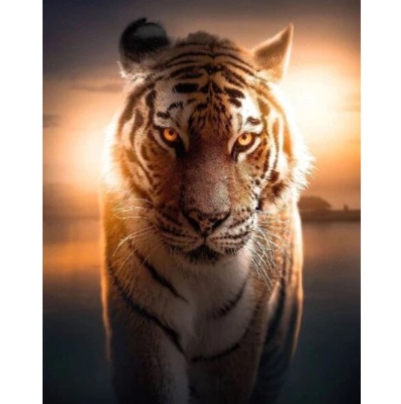 Diamanttavla Tiger Sunset 40x50