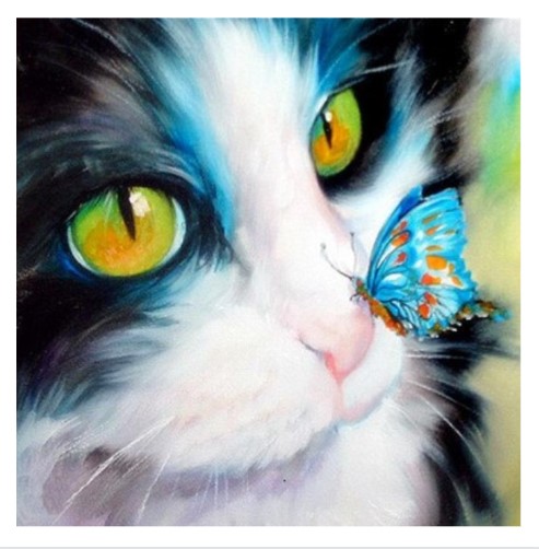 Diamanttavla Cat And Butterfly 30x30