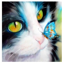 Diamanttavla Cat And Butterfly 30x30
