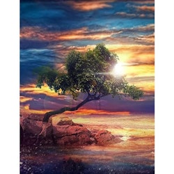Diamanttavla Tree Sunset 40x50