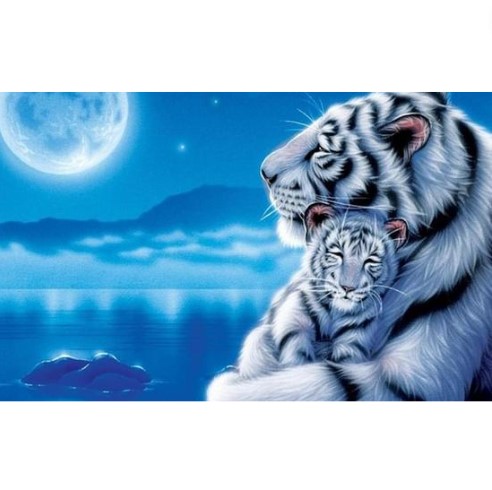 Diamanttavla White Tigers Moonlight 40x50
